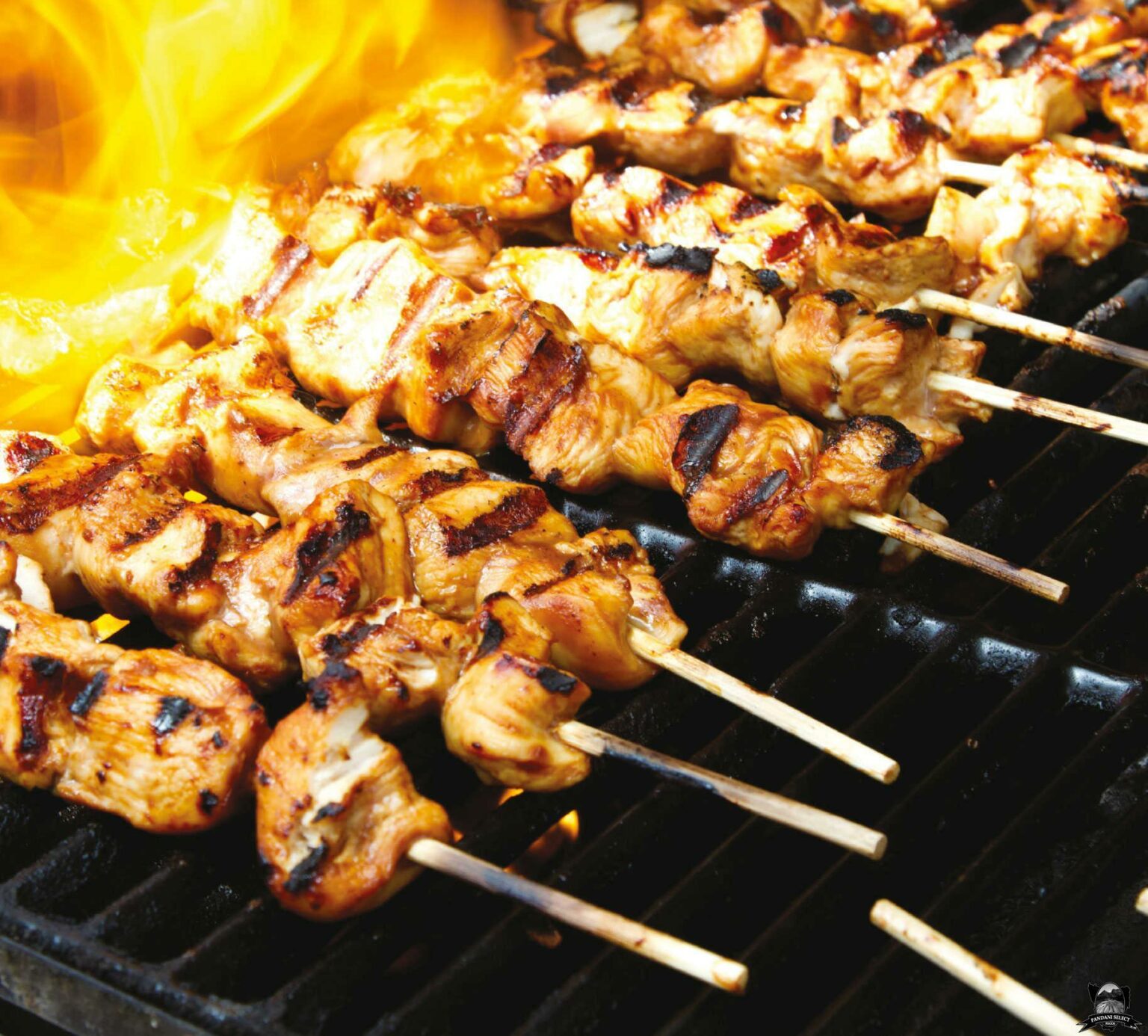 Chicken-Kebabs